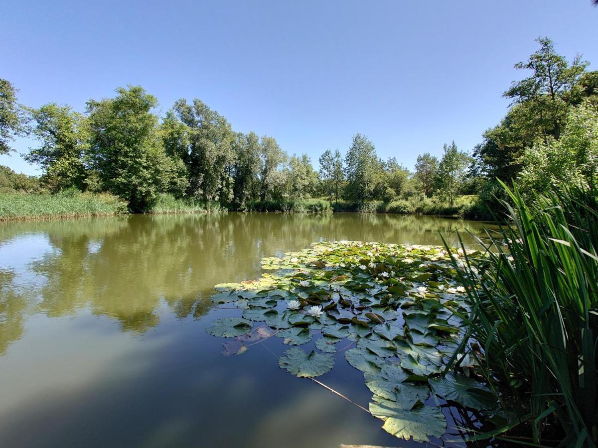 White Acre'S Holiday Park, 602 Sycamore Forest Saint Enoder Dış mekan fotoğraf